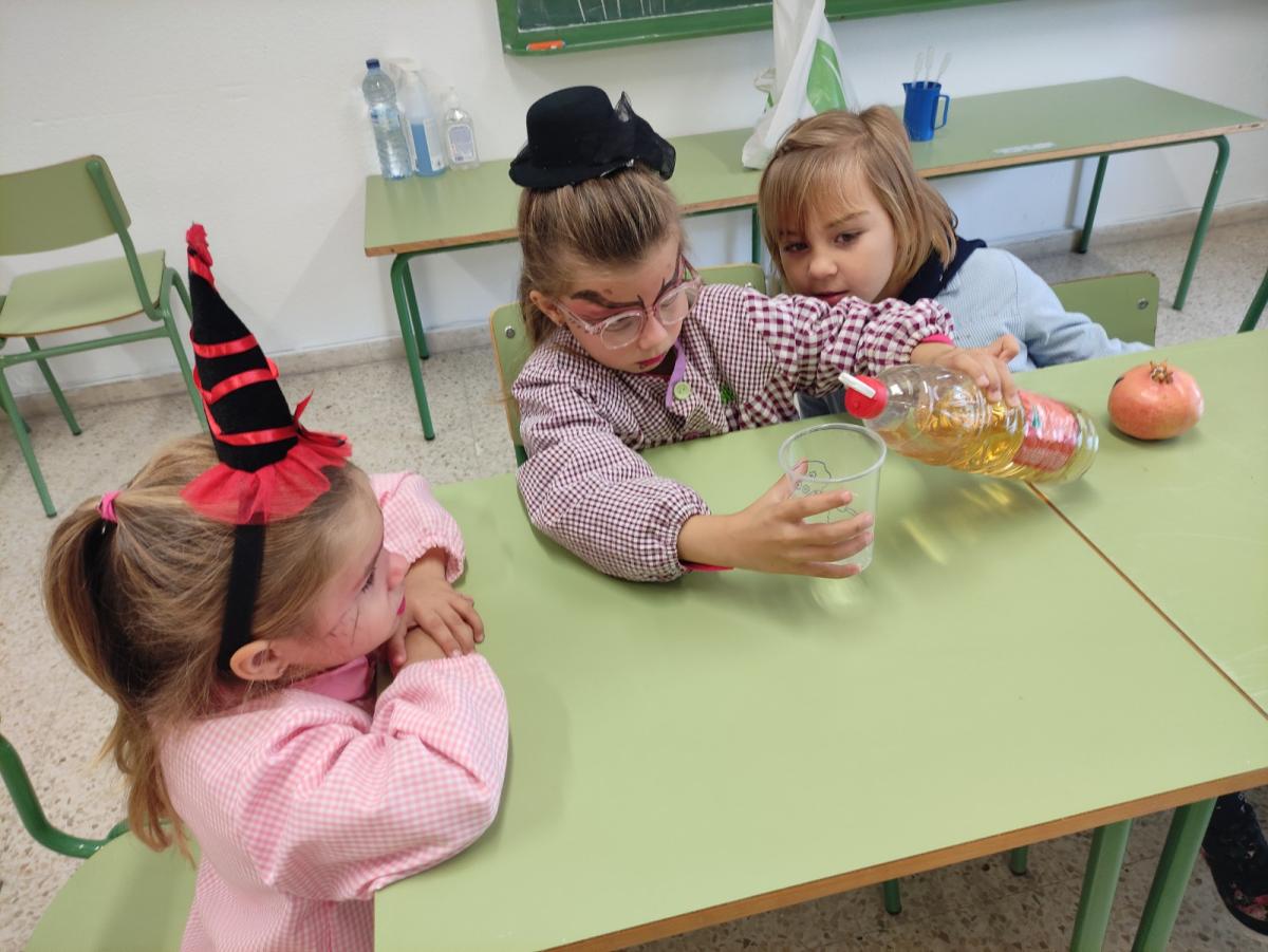 IMG 20221026 102445