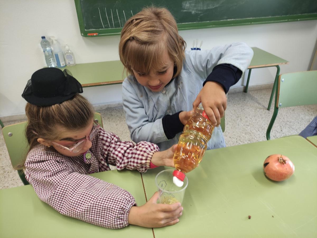 IMG 20221026 102518